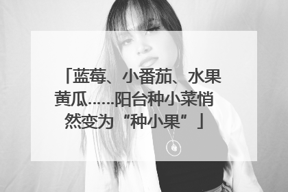 蓝莓、小番茄、水果黄瓜……阳台种小菜悄然变为“种小果”